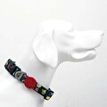 Tailpetz Space Boyun Tasması Small