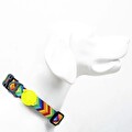 Tailpetz Raınbow Boyun Tasması  Small