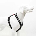 Tailpetz Boo H-Tipi Göğüs Tasması L