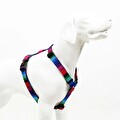 Tailpetz Wave H-Tipi Göğüs Tasması S
