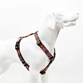 Tailpetz Ethnıc H-Tipi Göğüs Tasması S