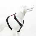 Tailpetz Graffıtı H-Tipi Göğüs Tasması S
