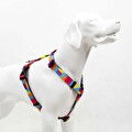 Tailpetz Spırıt H-Tipi Göğüs Tasması  S