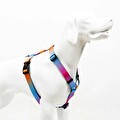 Tailpetz Pass H-Tipi Göğüs Tasması Xs