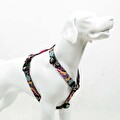 Tailpetz Paısley H-Tipi Göğüs Tasması L