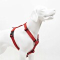 Tailpetz Prısm H-Tipi Göğüs Tasması Xs