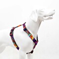Tailpetz Splash H-Tipi Göğüs Tasması S