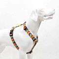 Tailpetz Raınbow H-Tipi Göğüs Tasması M