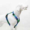 Tailpetz Amazon H-Tipi Göğüs Tasması M
