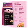 Profine Somonlu Yetişkin Köpek Maması 3 Kg