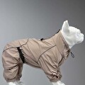 Quattro Sirius Köpek Yağmurluğu Beden 2
