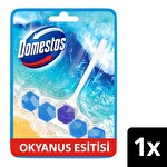 Domestos Tuvalet Bloğu Okyanus Esintisi 50 G