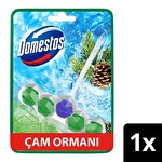 Domestos Tuvalet Bloğu Çam Ormanı 50 G