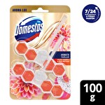 Domestos Wc Blok Lux Yıldız Çiçeği & Ejder Meyvesi 2'li