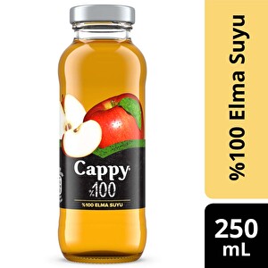 Cappy %100 Elma 250 ml Cam -1