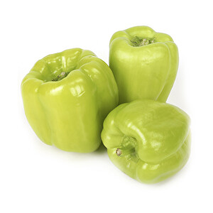 Dolma Biber Kg -1