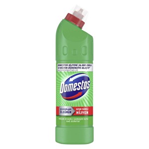 Domestos Yoğun Kıvamlı Çamaşır Suyu Dağ Esintisi Maksimum Hijyen 750 ml -1