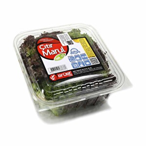 Erüst Çıtır Marul 100 g -1