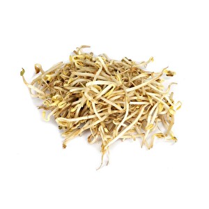 Soya Filizi 125 g Adet -1