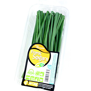 Erüst Frenk Soğanı 25 g -1