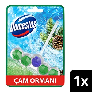 Domestos Tuvalet Bloğu Çam Ormanı 50 G -1