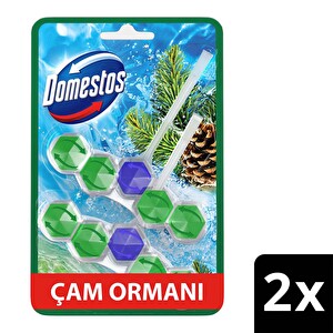 Domestos Tuvalet Bloğu Çam Ormanı 100 G -1