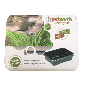 Petwork Mama Kabi Olabilen Kedi Cimi Fiyatlari Ozellikleri Ve Yorumlari En Ucuzu Akakce