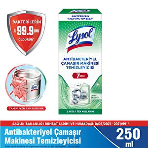 Lysol Antibakteriyel Çamaşır Makinesi Temizleyici Çam ve Okaliptus Ferahlığı 250 ml -1