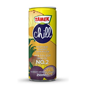 Tamek Chill No:2 Portakal Ananas Çarkıfelek 250 ml - 1