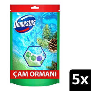 Domestos Tuvalet Bloğu Çam Ormanı 5'Li Güç 250 g -1