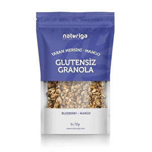 Naturiga  Glutensiz  granola Yaban Mersini -1
