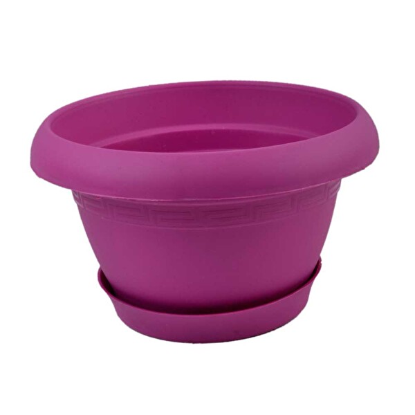 Nergiz Menekşe Saksı (S. Pembe) Nergiz Menekşe Saksı (S. Pembe)