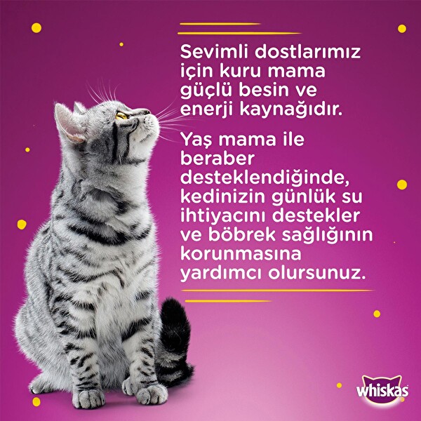 Whiskas Somonlu Kedi Maması 100 g Whiskas Somonlu Kedi Maması 100 g