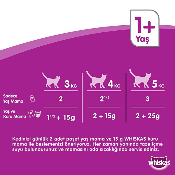 whiskas biftekli kedi mamasi 100 g