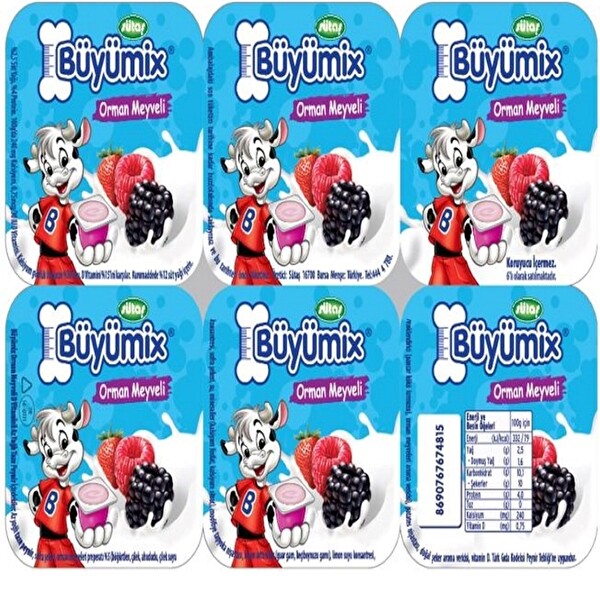 Büyümix Orman Meyveli 6*45 g Büyümix Orman Meyveli 6*45 g