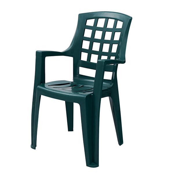 Nergiz Yesil Koltuk 30026809 Carrefoursa