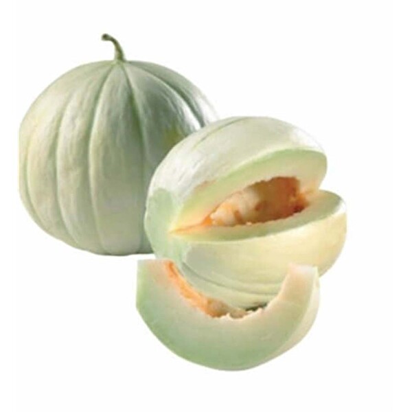 Kavun Biga Kg