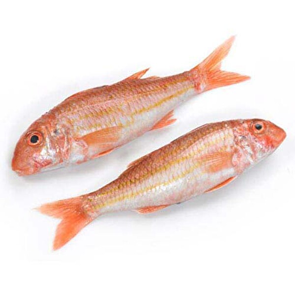 barbun orta boy 30081572 carrefoursa