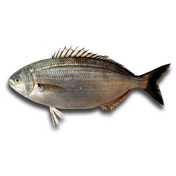 sarpa 30084851 carrefoursa