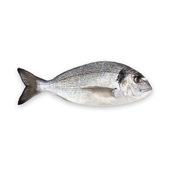 Çipura 70-90 Dondurulmuş Fileto 200 g Çipura 70-90 Dondurulmuş Fileto 200 g