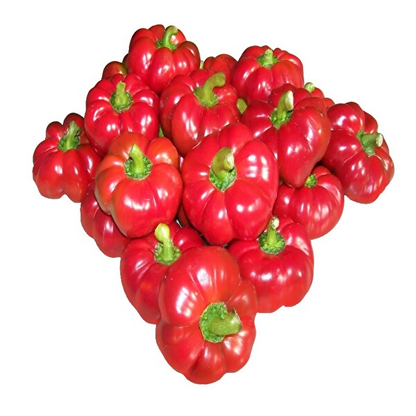 Biber Kamber Kg