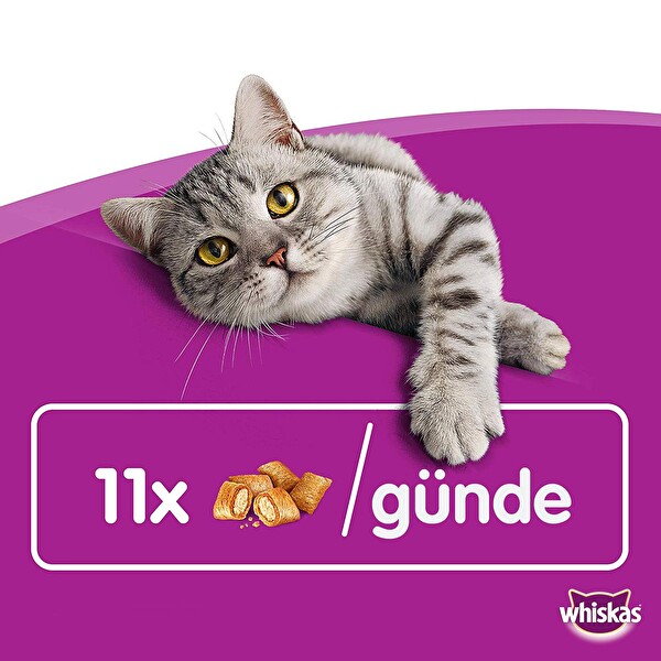 whiskas odul mamasi 60 g tavuk peynir