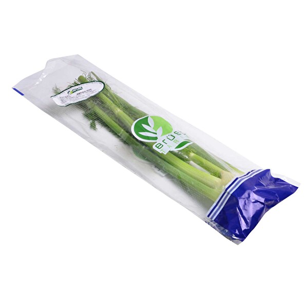 Erüst Fençel Erüst Fençel