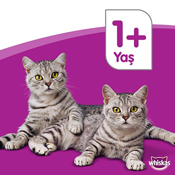 Whiskas Kuru Biftekli Kedi Maması 1,4 kg 30142195 CarrefourSA