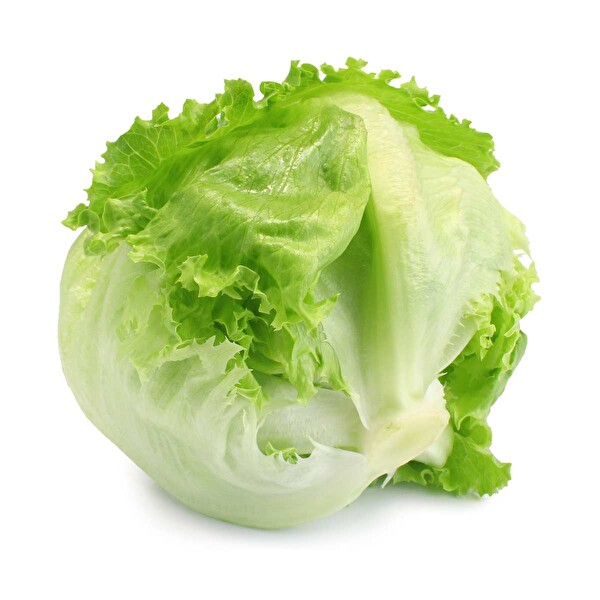 GÖBEK SALATA MİNİ