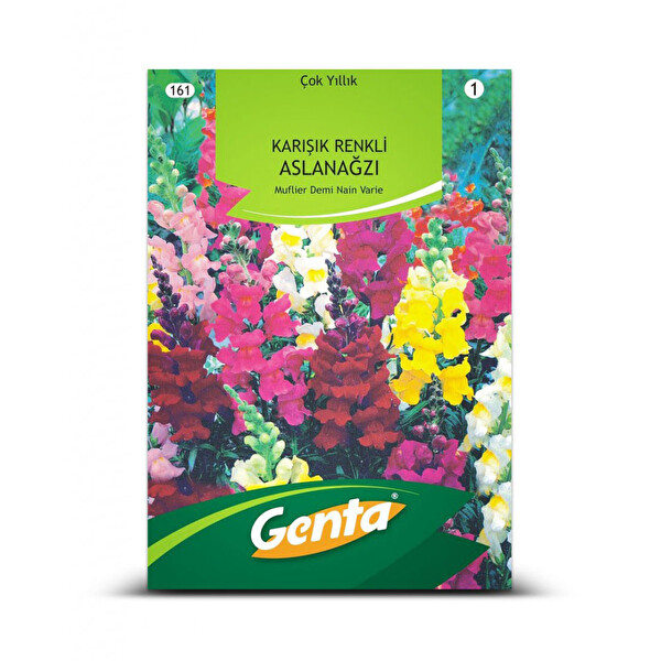 Genta Karışık Renkli Aslanağzı Genta Karışık Renkli Aslanağzı