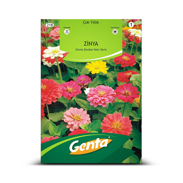 Genta Zinya Genta Zinya