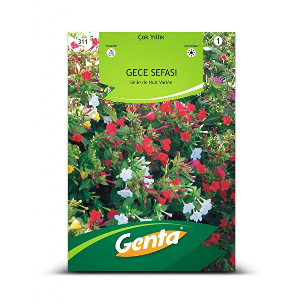 Genta Gecesefası Genta Gecesefası