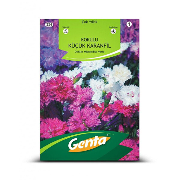 Genta Kokulu Küçük Karanfil Genta Kokulu Küçük Karanfil