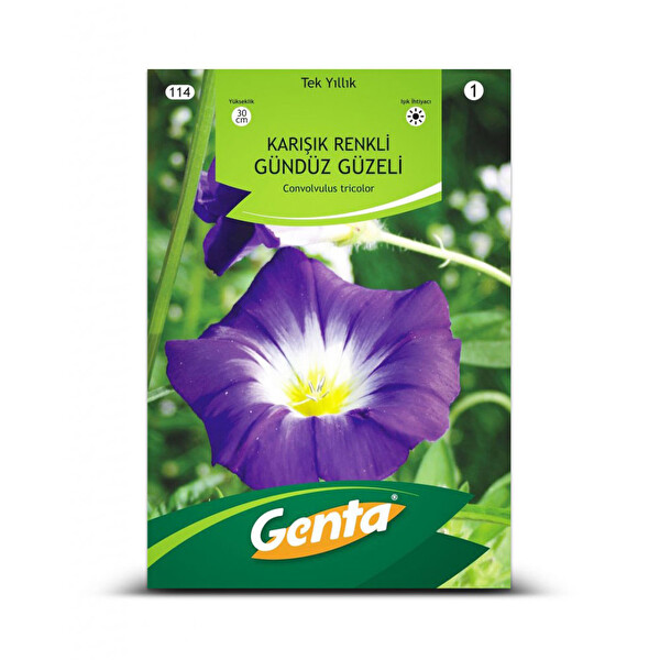 Genta Karışık Renkli Gündüz Güzeli Genta Karışık Renkli Gündüz Güzeli